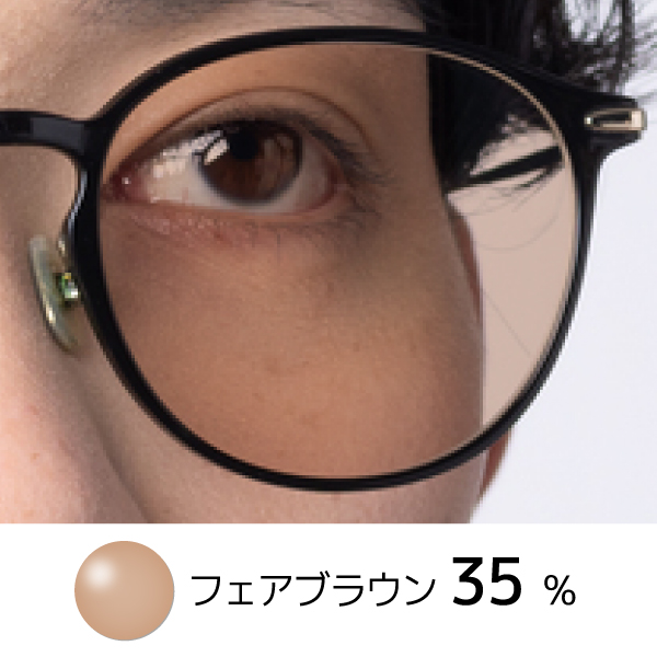 Brown Lens 2