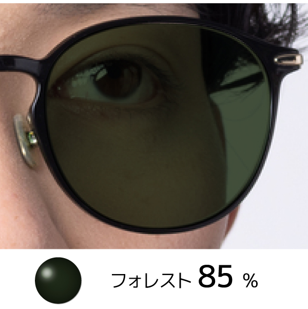 Forest Lens 2