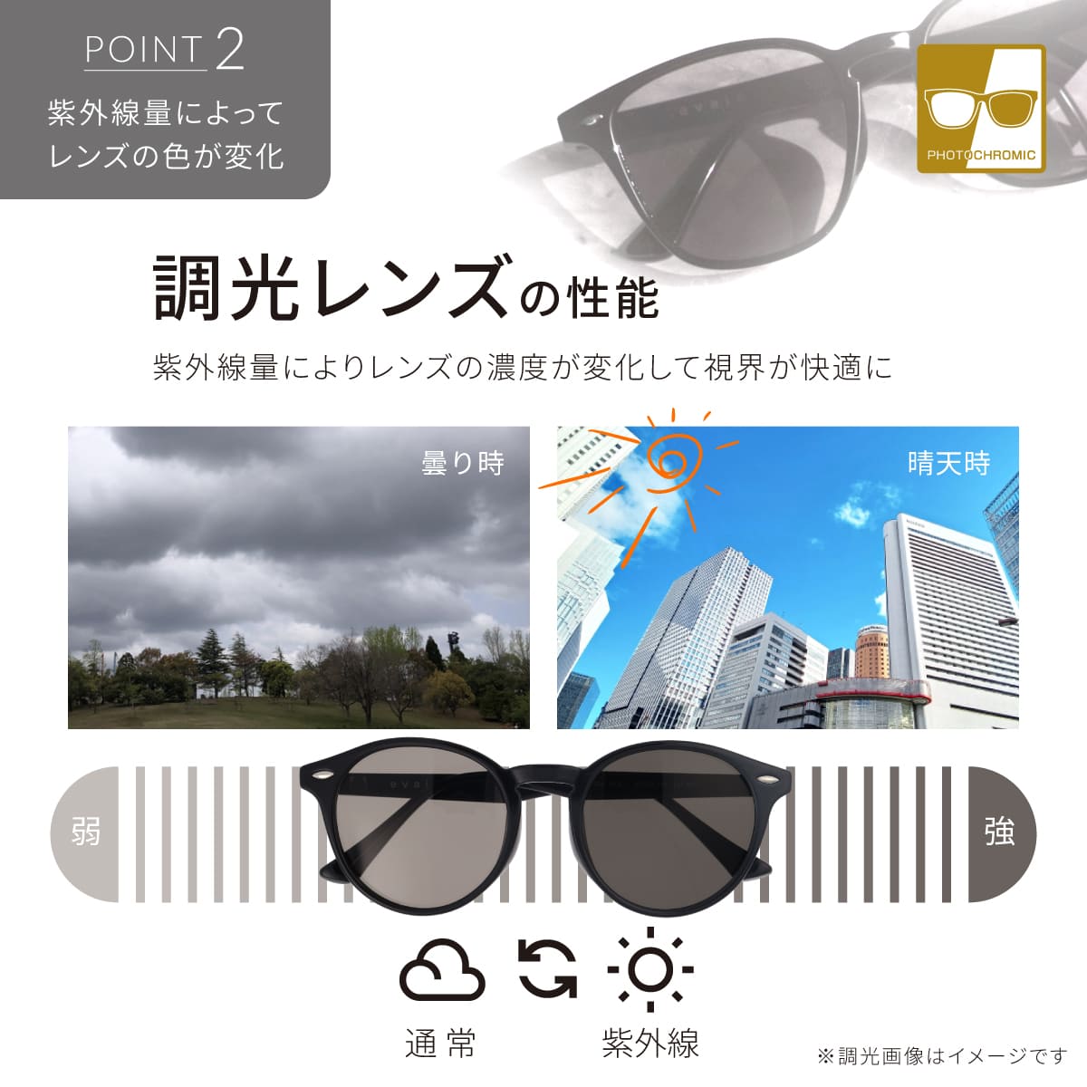 evais偏光調光サングラス
